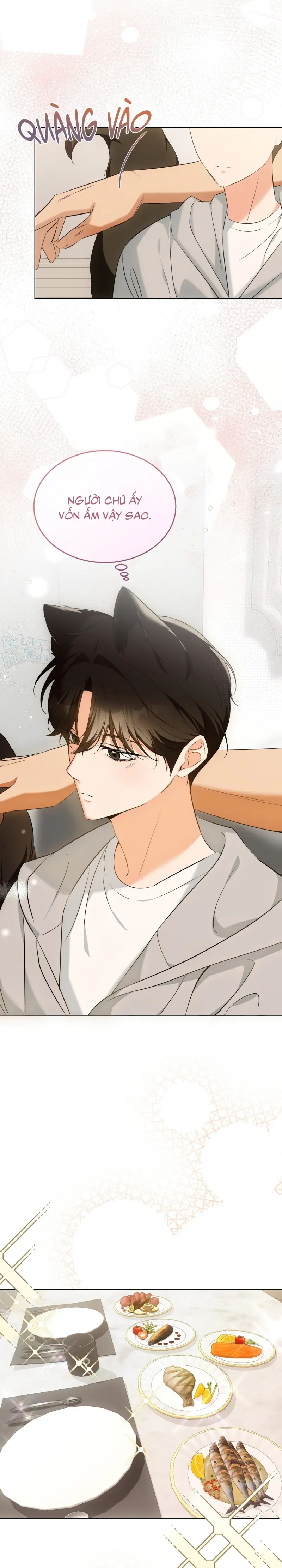 LIỆU PHÁP TRỊ LIỆU MÈO Chapter 9 - Trang 2