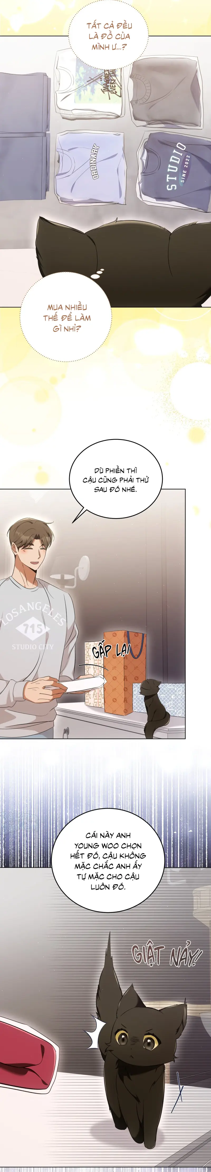 LIỆU PHÁP TRỊ LIỆU MÈO Chapter 8 - Trang 2