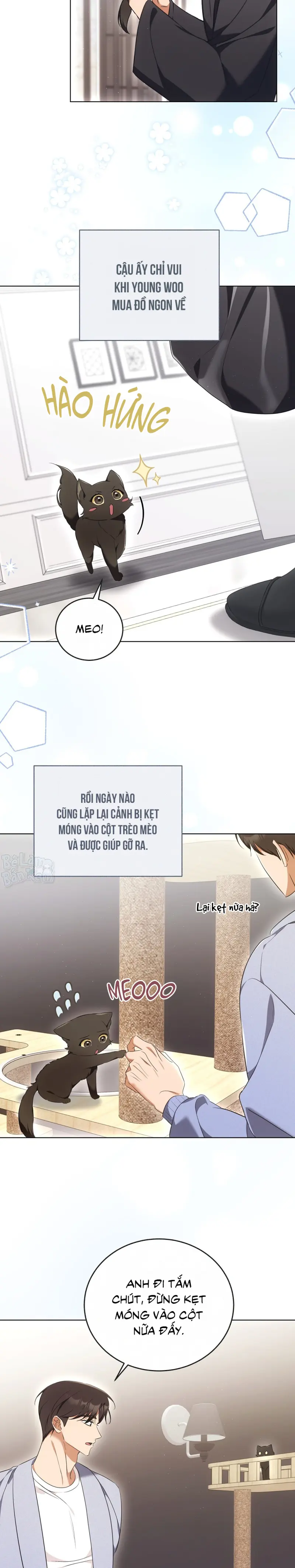 LIỆU PHÁP TRỊ LIỆU MÈO Chapter 8 - Trang 2