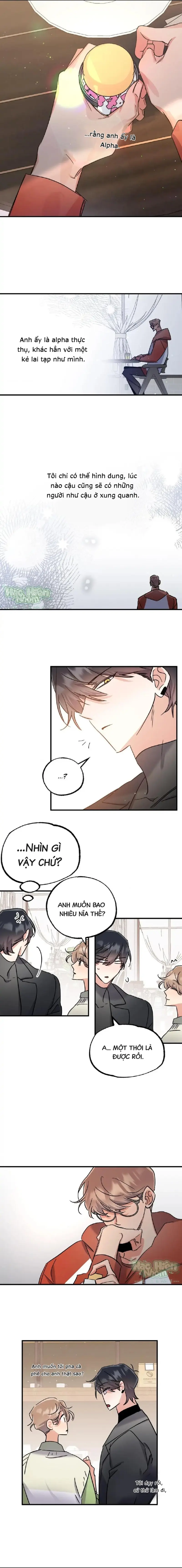 Vũ Trụ Nơi Thiên Thạch Rơi Chapter 10 Hachiennhom - Trang 2