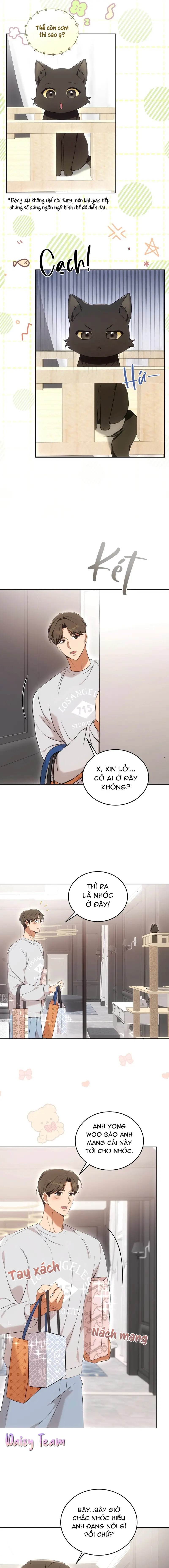 LIỆU PHÁP MÈO Chapter 8 - Next Chapter 9