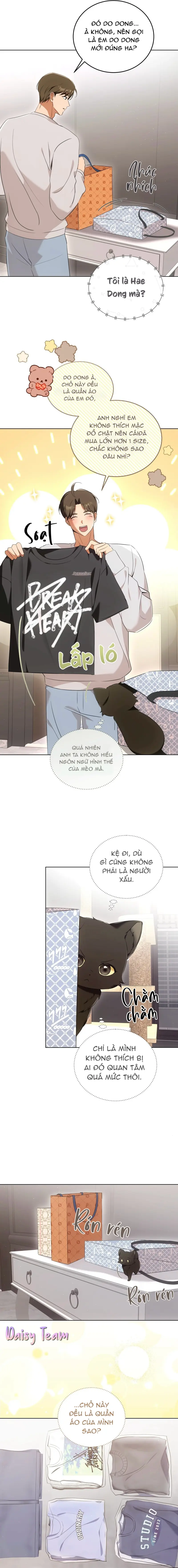 LIỆU PHÁP MÈO Chapter 8 - Next Chapter 9