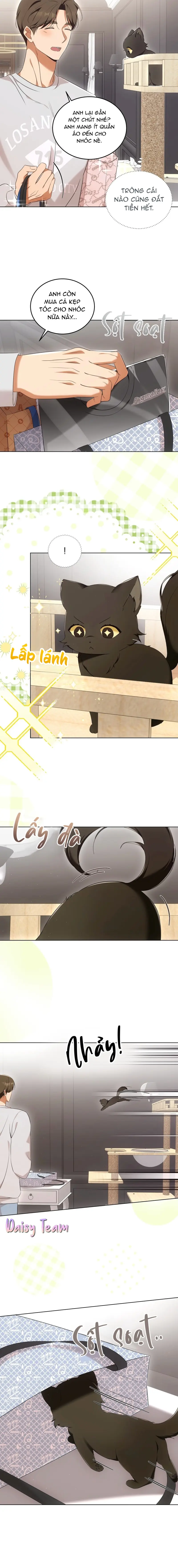 LIỆU PHÁP MÈO Chapter 8 - Next Chapter 9