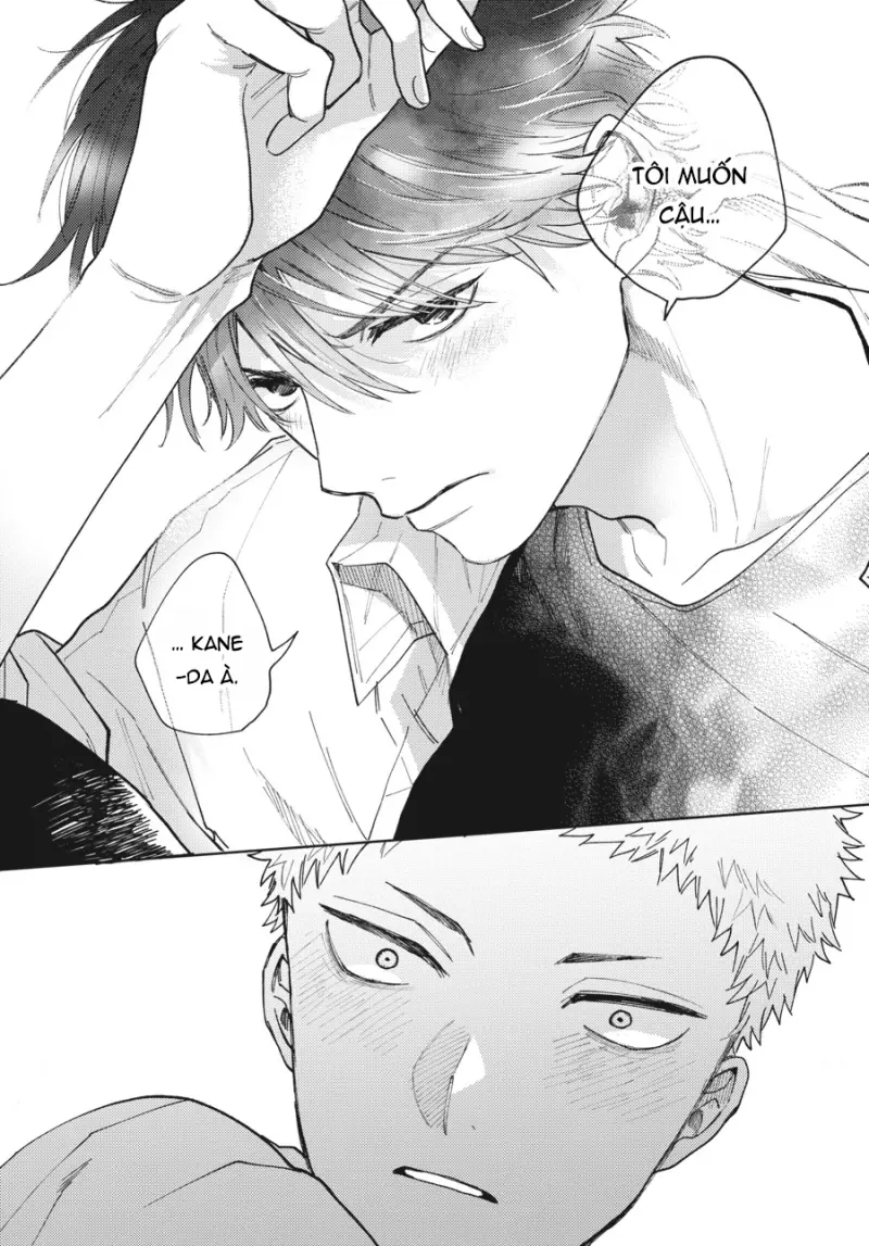 Tiền bối, Đây Tuyệt Đối Không Phải Là Yêu! Chapter 14 H - Trang 2