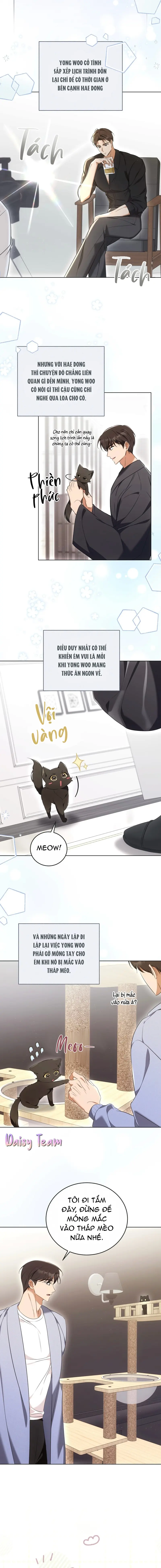 LIỆU PHÁP MÈO Chapter 8 - Next Chapter 9