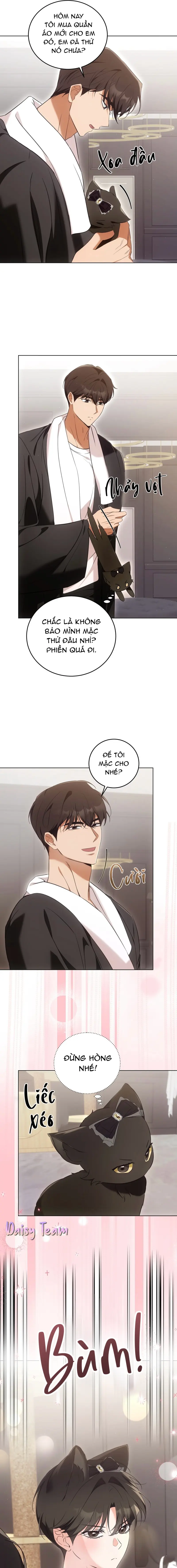 LIỆU PHÁP MÈO Chapter 8 - Next Chapter 9