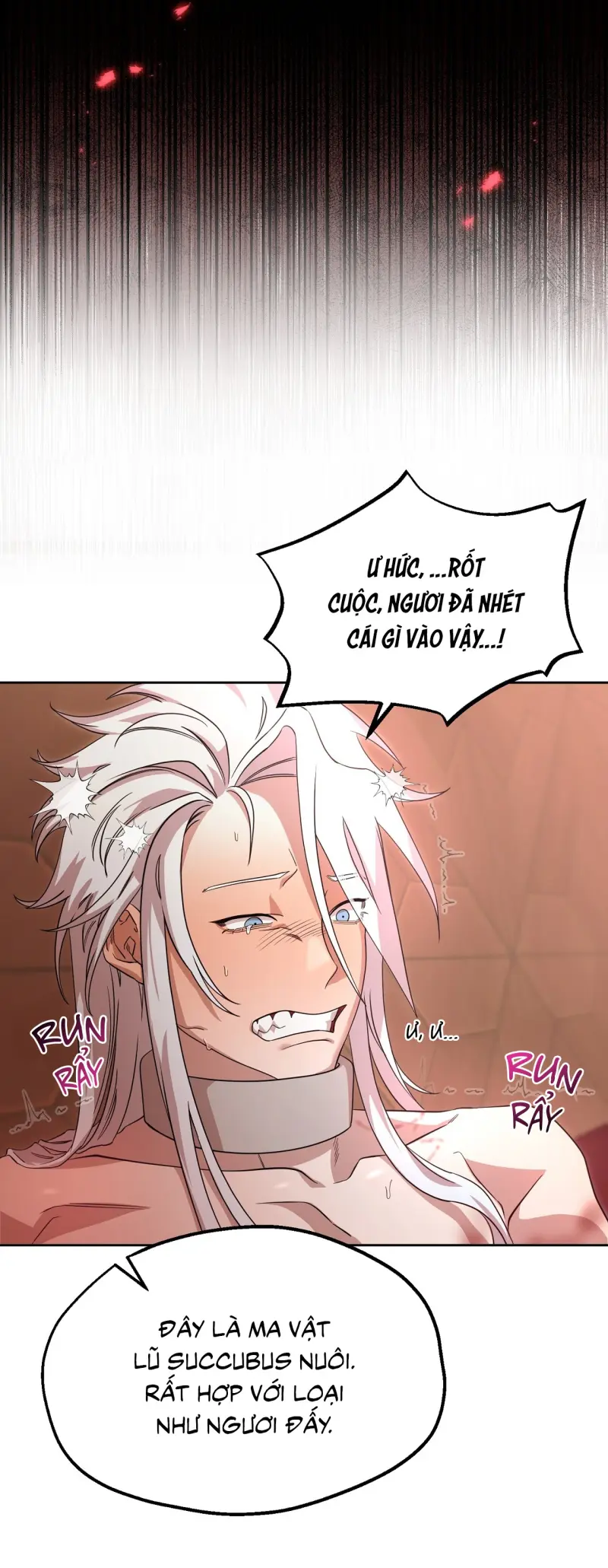 TRUYỂN TẬP - NHỮNG CON KU NÚNG NÍNH Chapter 3 19+ Thuần Hoá - Trang 2