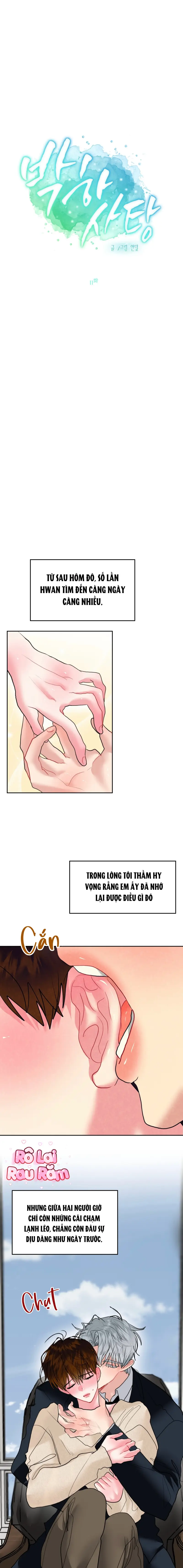 Vị ngọt thanh mát Chapter 11 - Next Chapter 12