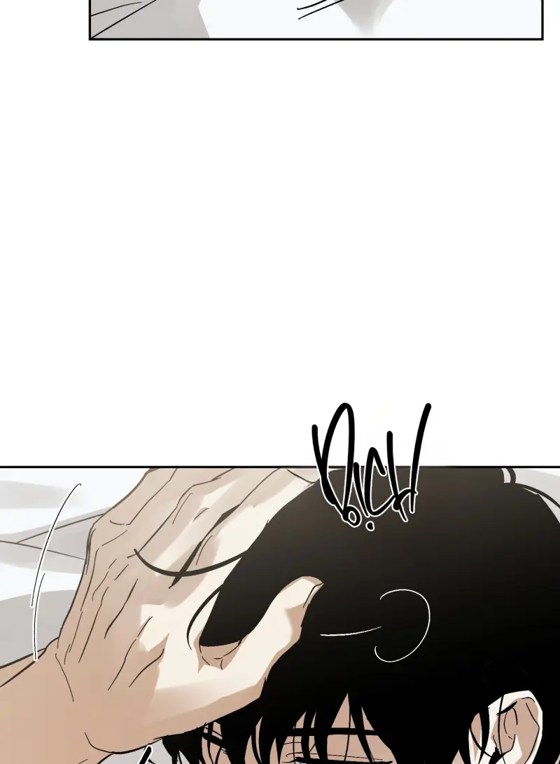 TƯƠNG XỨNG Chapter 15 - Next Chapter 16