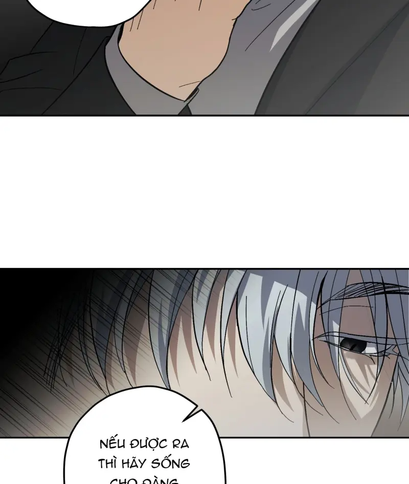 TƯƠNG XỨNG Chapter 15 - Next Chapter 16