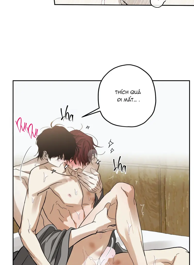 TƯƠNG XỨNG Chapter 15 - Next Chapter 16