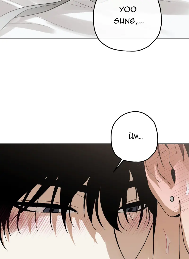 TƯƠNG XỨNG Chapter 15 - Next Chapter 16