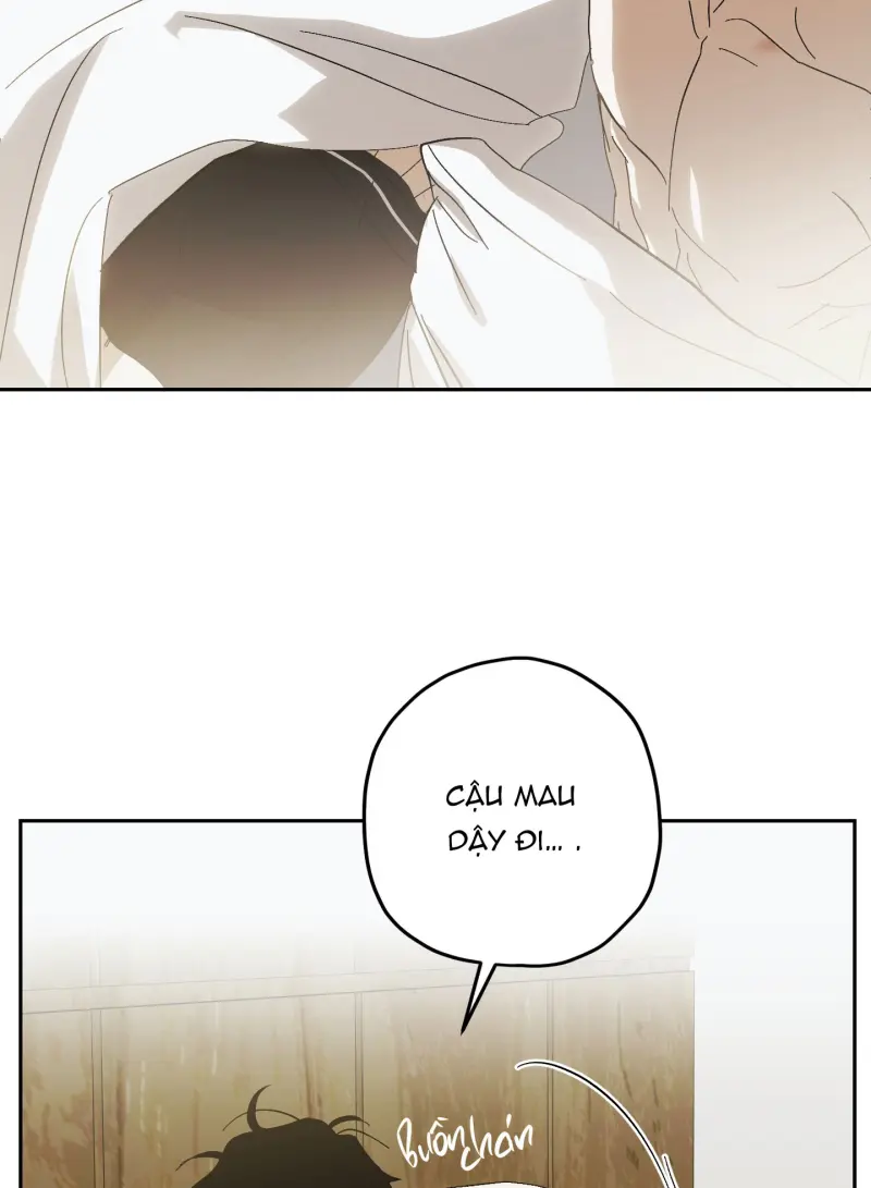 TƯƠNG XỨNG Chapter 15 - Next Chapter 16