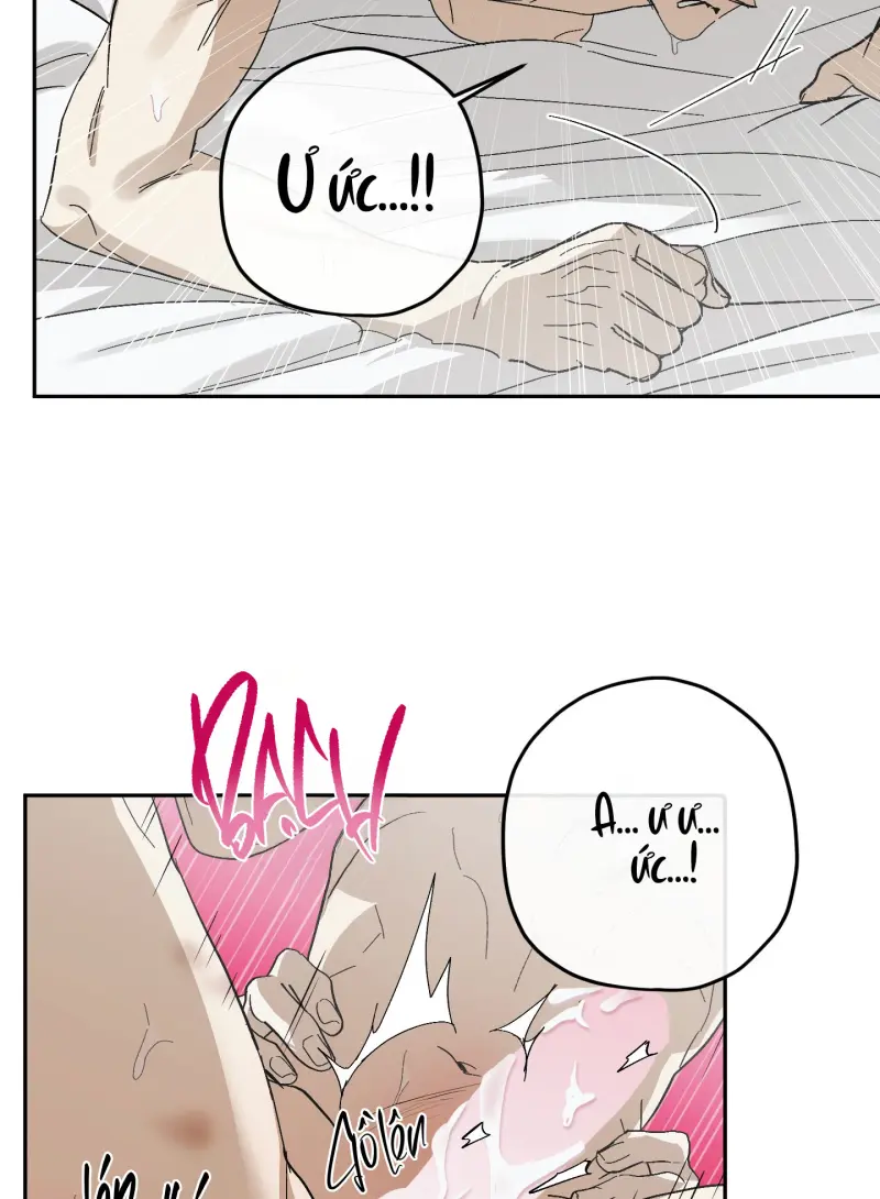 TƯƠNG XỨNG Chapter 15 - Next Chapter 16