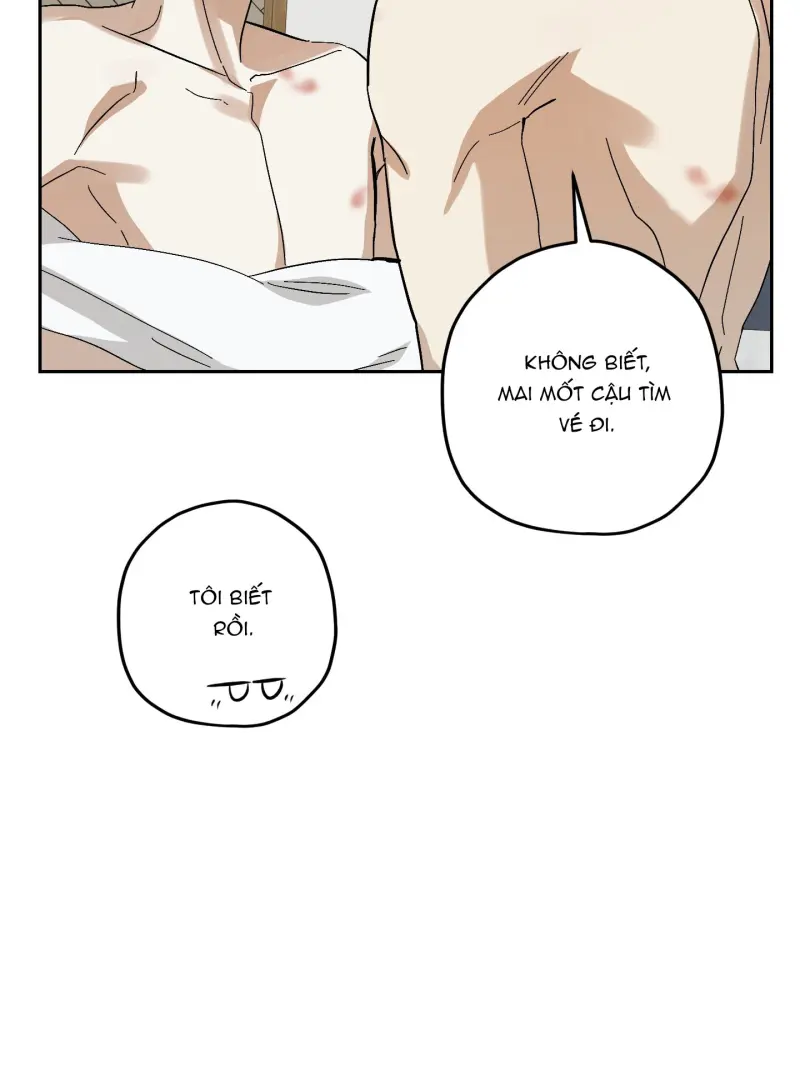 TƯƠNG XỨNG Chapter 15 - Next Chapter 16