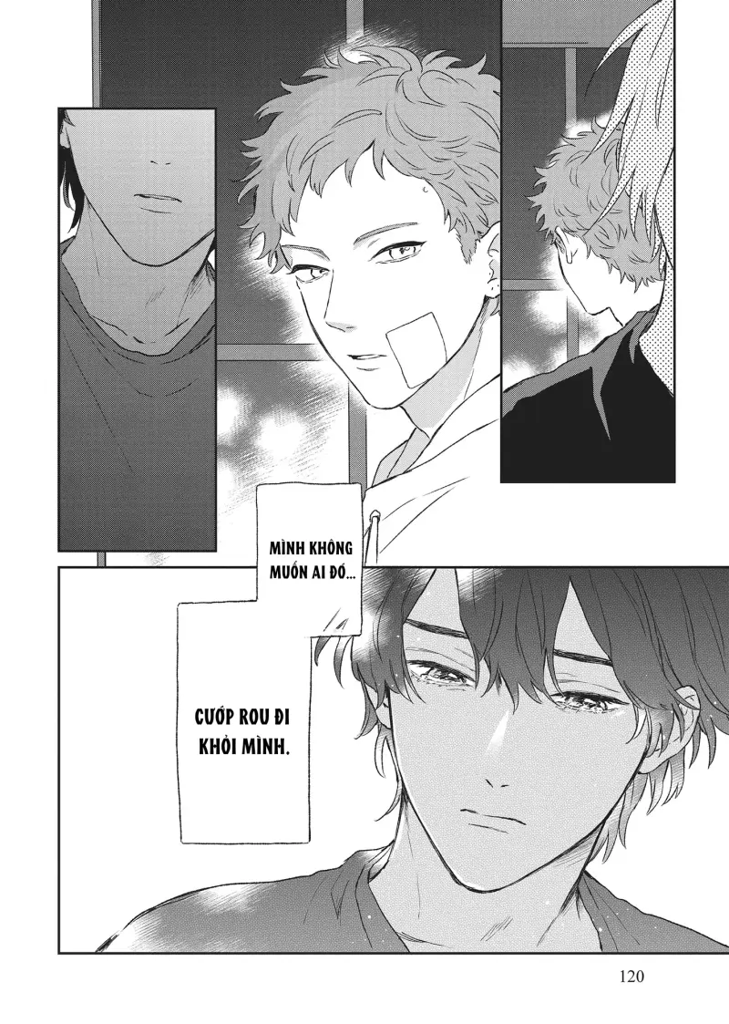 Tôi Đâu Định Yêu Cậu Chapter 9 - Trang 2
