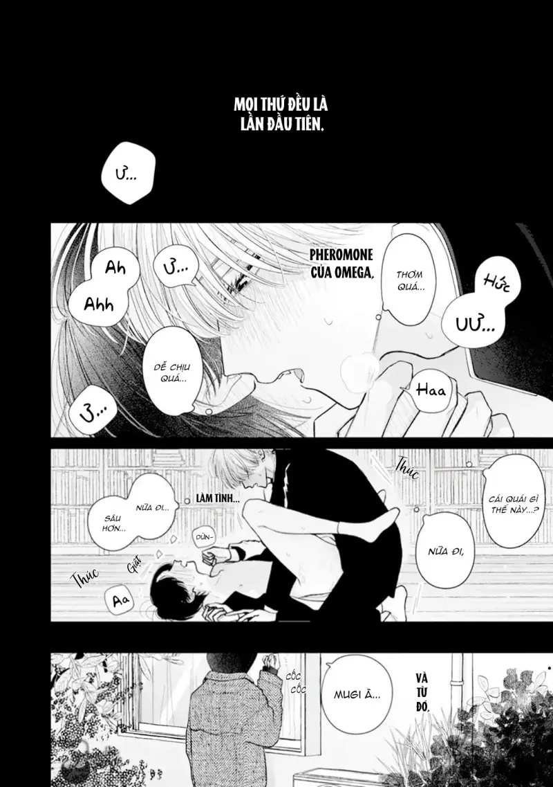 Bó Hoa Dành Dành Và Sắc Xanh Mong Manh Chapter 6 H - Trang 2