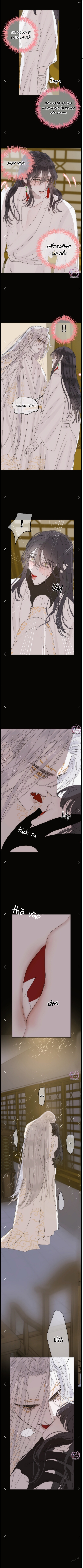 Vài Câu Chuyện Với Sư Tôn Sau Khi Xuyên Sách Chapter 81.13 - Trang 2