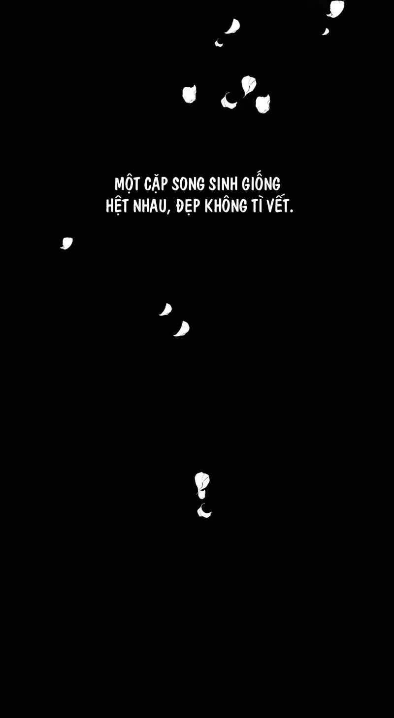 ÁNH MẮT LẠC NHỊP Chapter 1 - Next Chapter 2