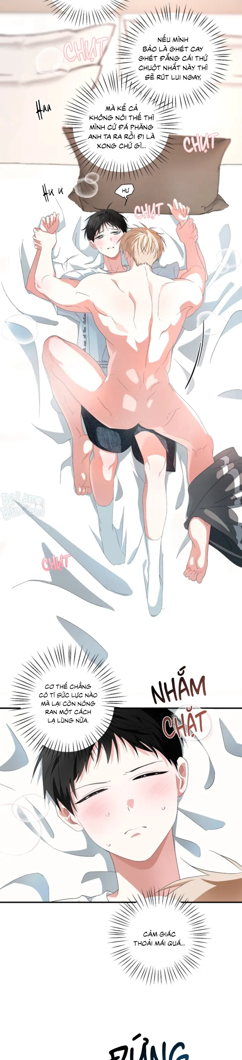 XIN HÃY YÊU THƯƠNG DÙ TÔI LÀ CHUỘT Chapter 11 H++ - Trang 2