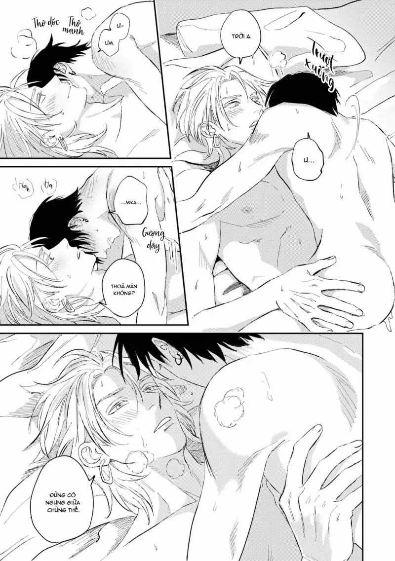 Trái Tim Gào Thét Chapter 6 H - Trang 2