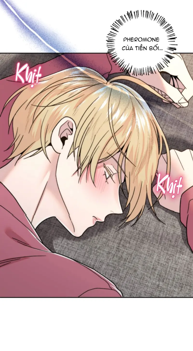 Người Hàng Xóm Bất Ngờ Chapter 17 - Trang 2