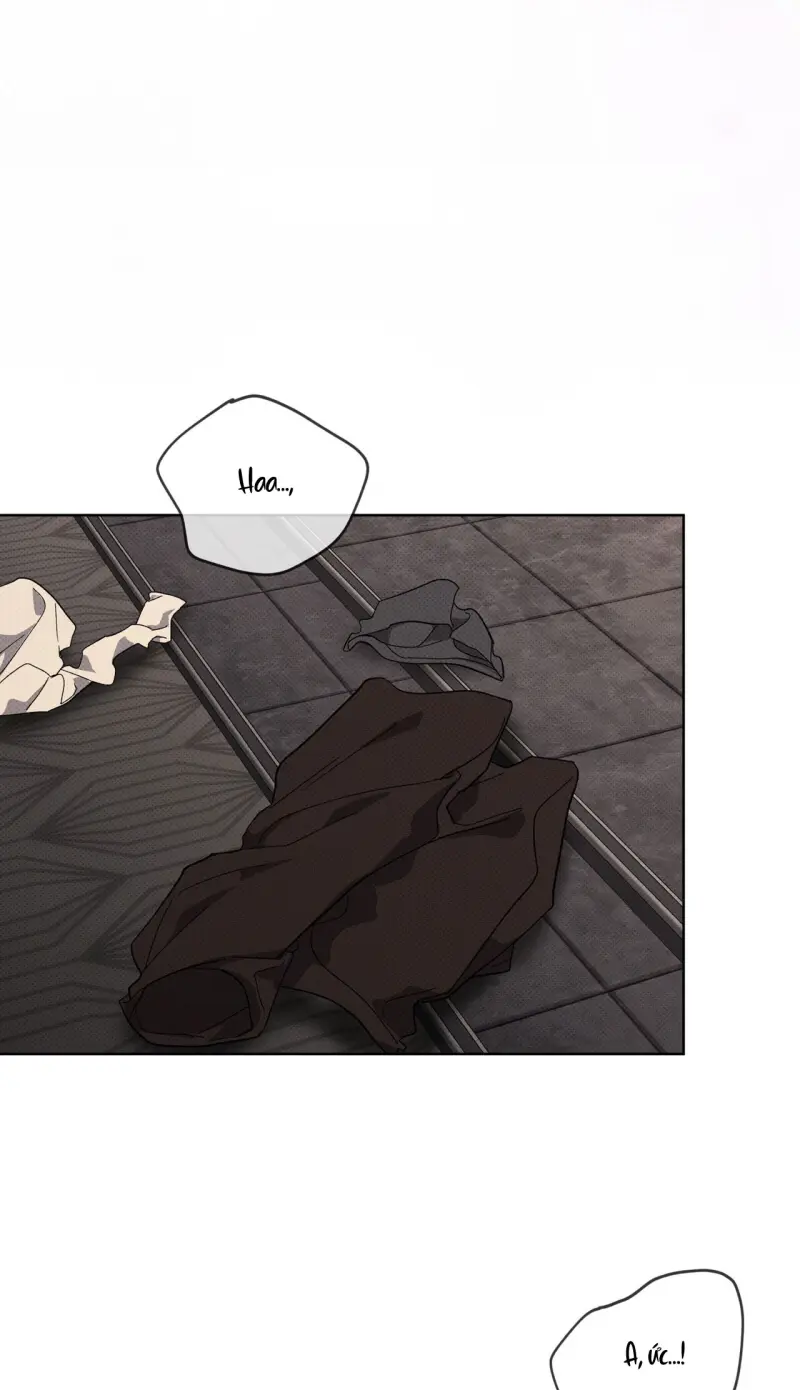NGUỒN GỐC TIẾN HÓA Chapter 26 - Trang 2