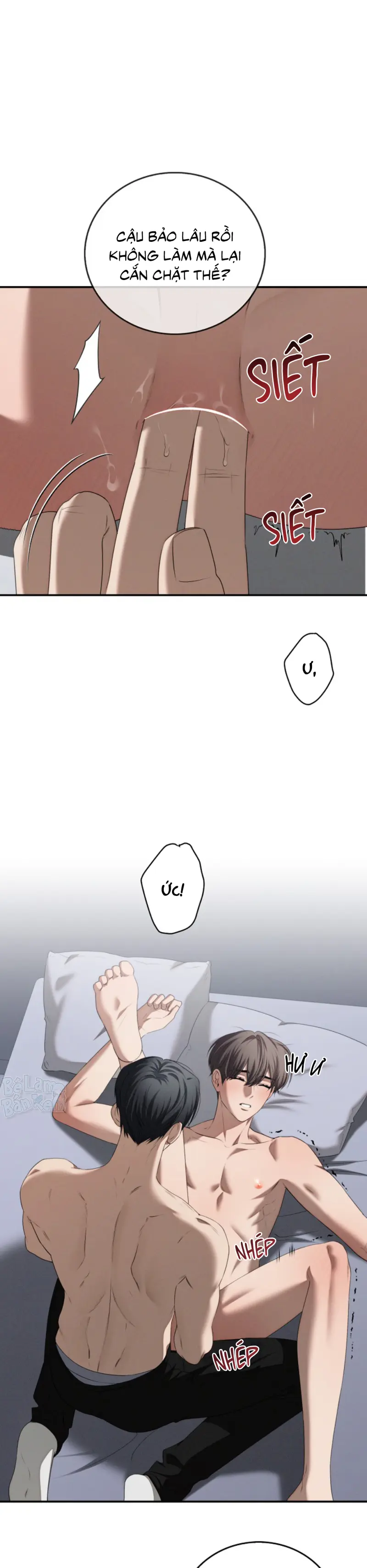 Critical Point Chapter 74 H++ - Trang 2