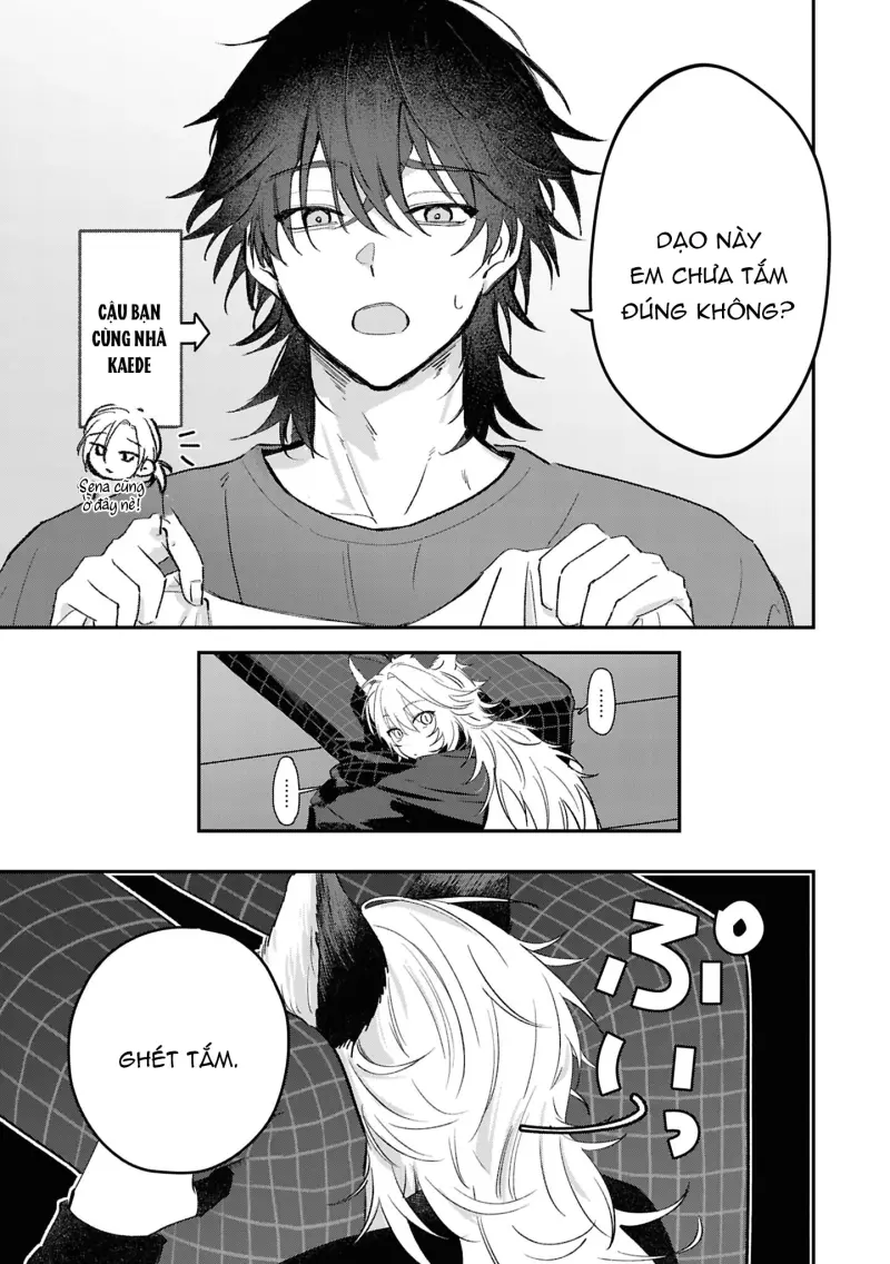Cáo Nhỏ Uri Chapter 3 - Trang 2
