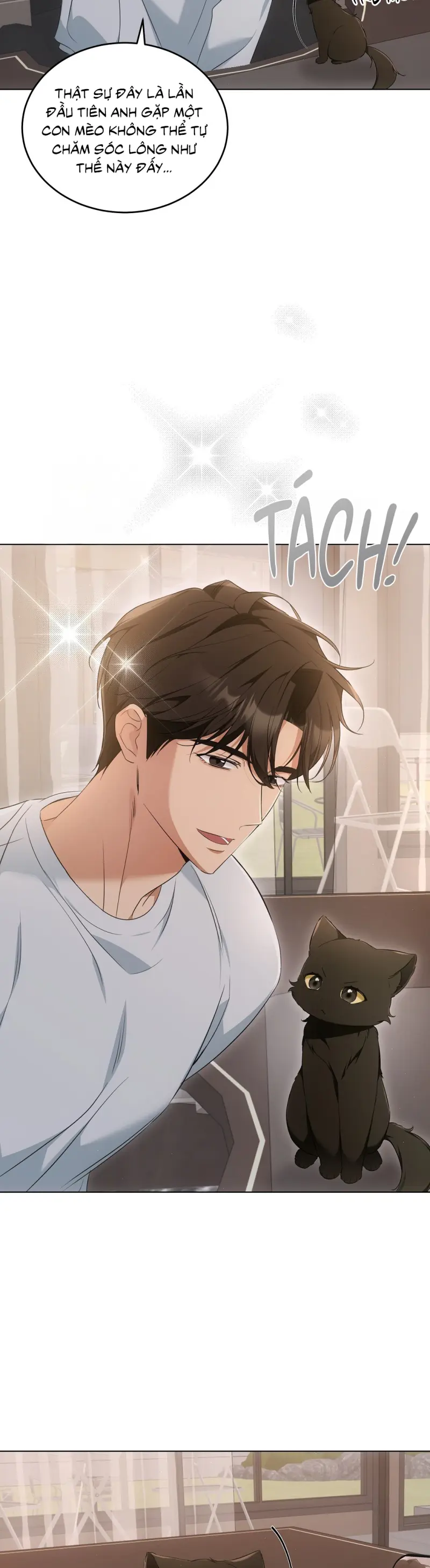 LIỆU PHÁP TRỊ LIỆU MÈO Chapter 10 - Trang 2