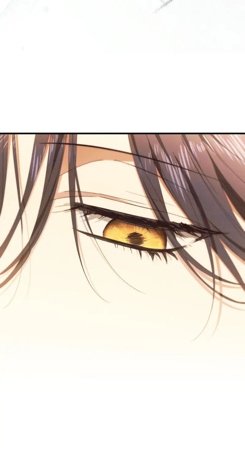 RẮN NUỐT LỰU Chapter 26 - Trang 2