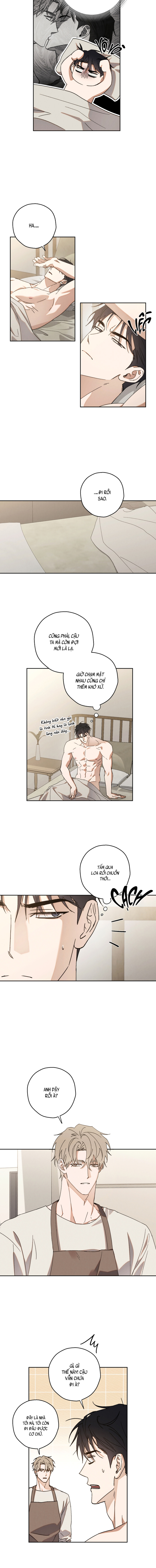 Idol Complex Chapter 4 H+ - Next Chapter 5 H