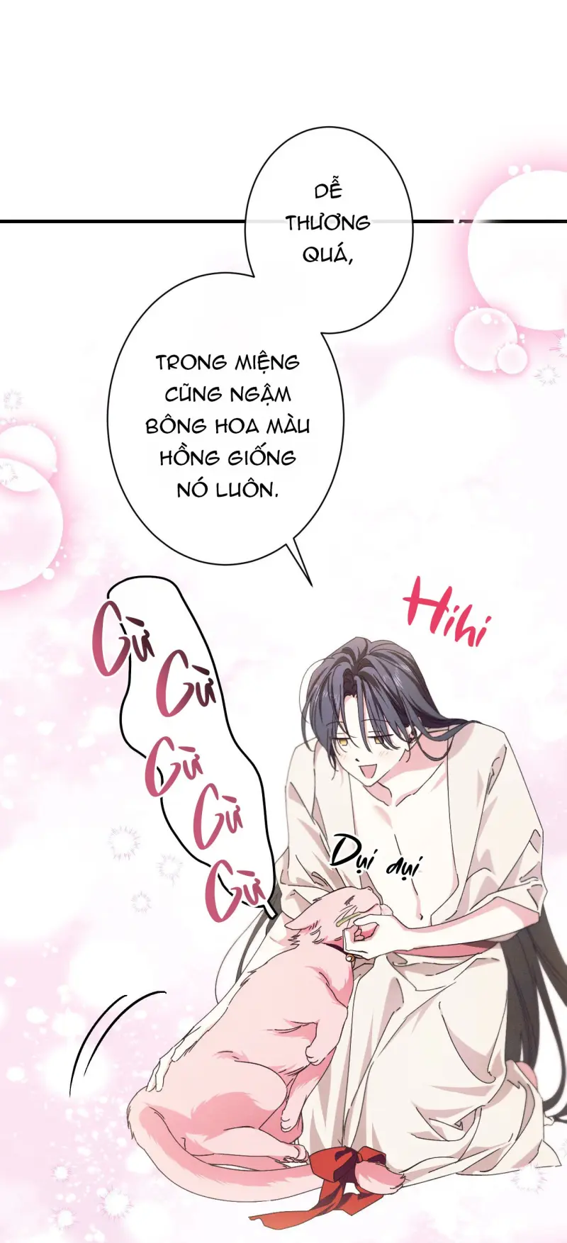 RẮN NUỐT LỰU Chapter 27 - Trang 2