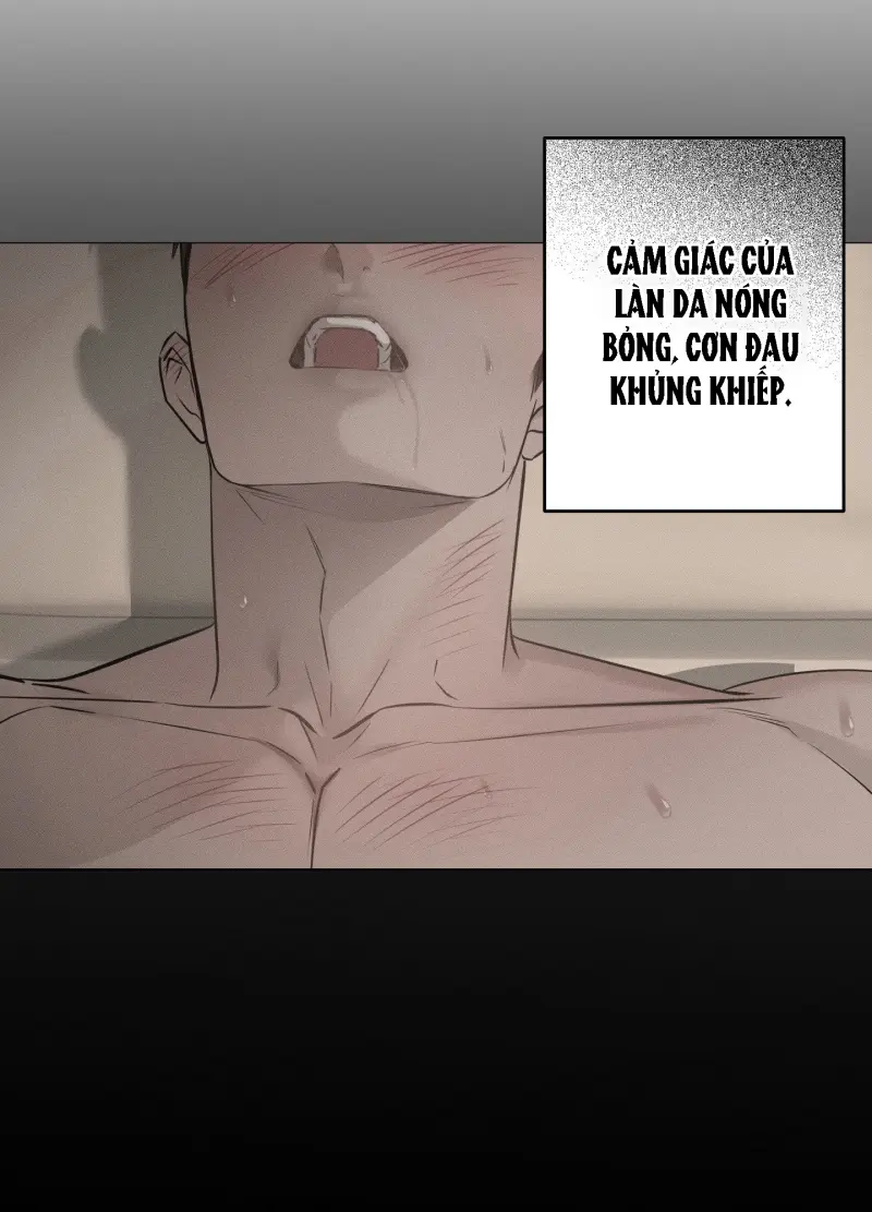 TƯƠNG XỨNG Chapter 16 - Next Chapter 17