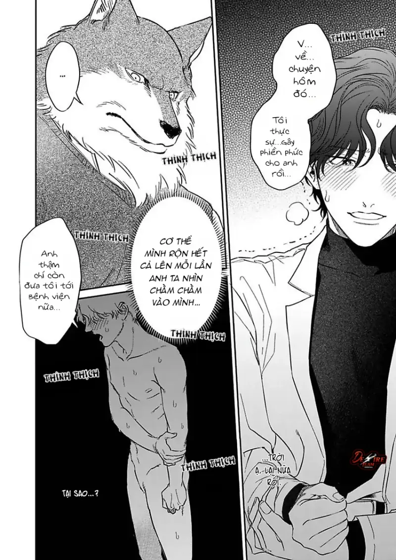 Tình Yêu Mãnh Liệt Của Ngài Sói Chapter 2 - Trang 2
