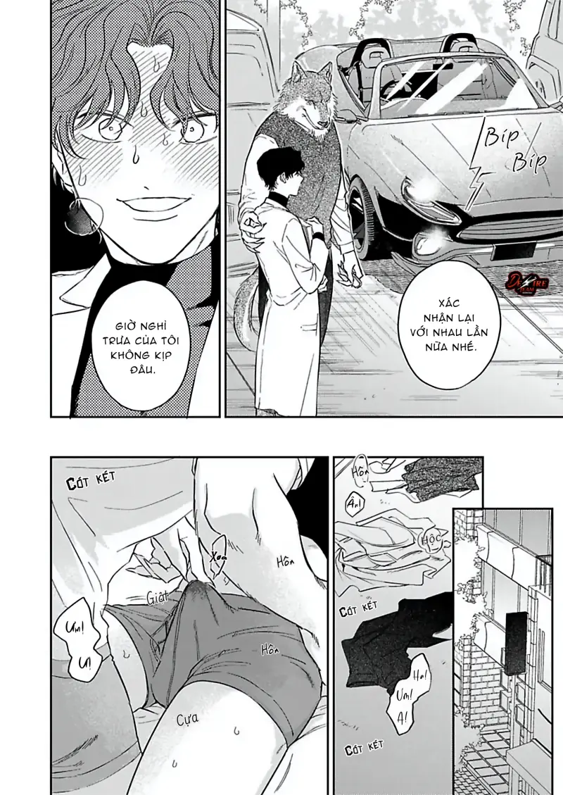 Tình Yêu Mãnh Liệt Của Ngài Sói Chapter 2 - Trang 2