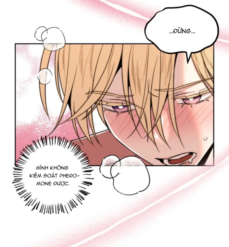 Người Hàng Xóm Bất Ngờ Chapter 18 - Trang 2