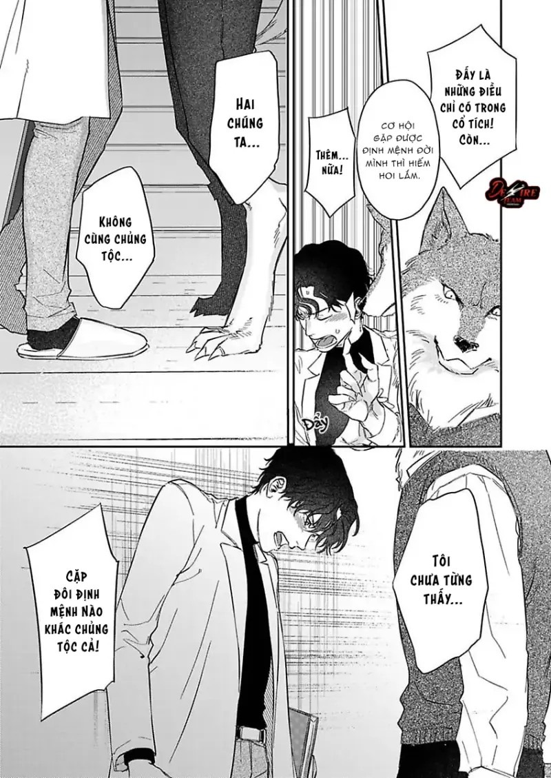 Tình Yêu Mãnh Liệt Của Ngài Sói Chapter 2 - Trang 2