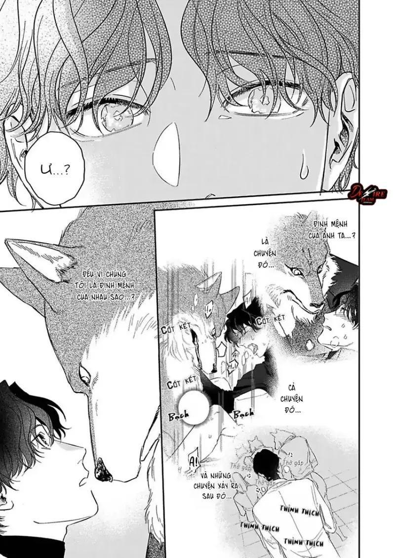 Tình Yêu Mãnh Liệt Của Ngài Sói Chapter 2 - Trang 2