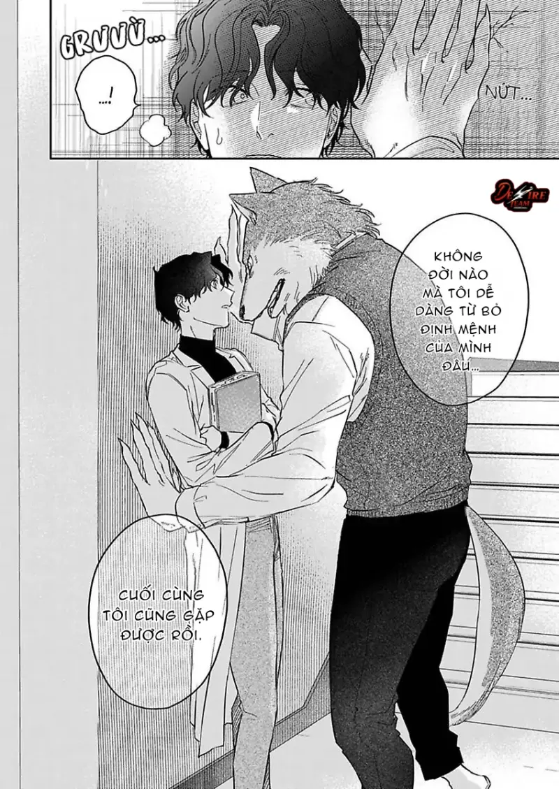 Tình Yêu Mãnh Liệt Của Ngài Sói Chapter 2 - Trang 2