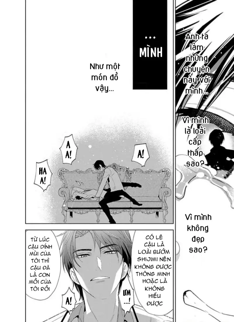 Vấp Ngã Trước Hồi Kết Của Tình Yêu Chapter 9 - Trang 2