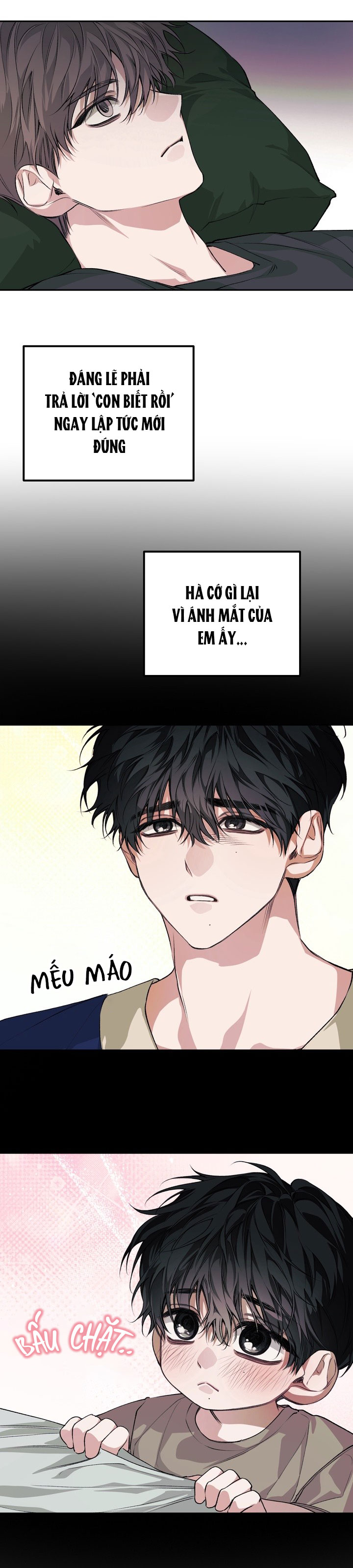 BÓNG TỐI CỦA GIA ĐÌNH Chapter 11 - Trang 2