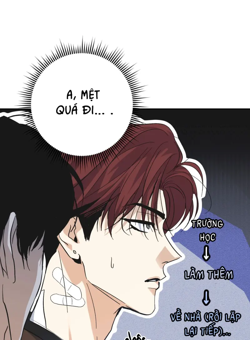TƯƠNG XỨNG Chapter 17 - Next Chapter 18