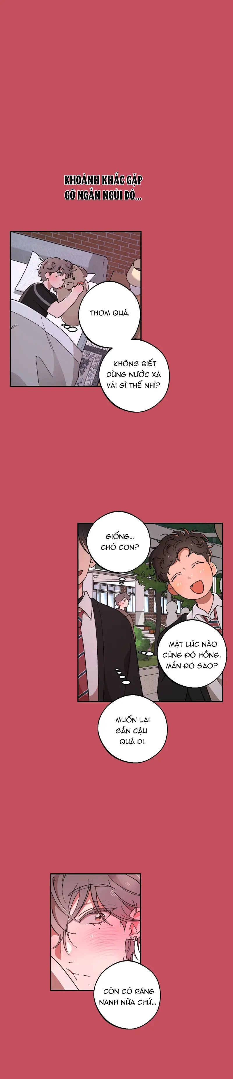 Ánh Đèn Mờ Ảo​ Chapter 3 - Trang 2