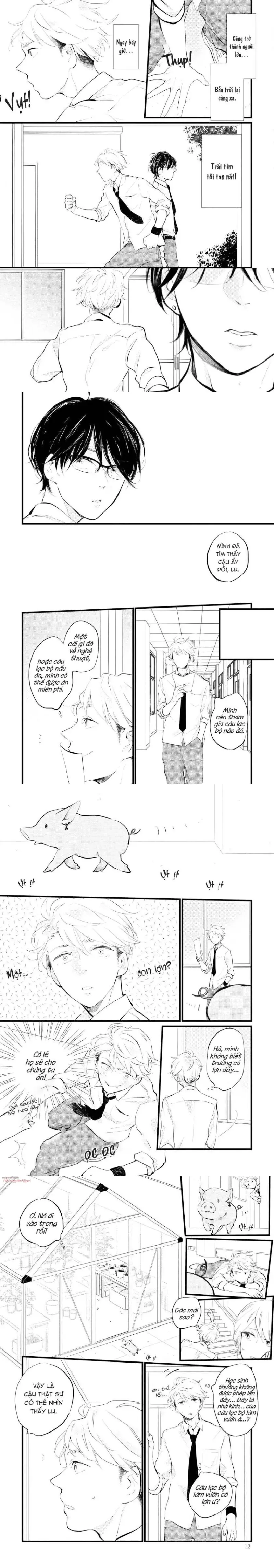 Trót Yêu Phù Thủy Chapter 1 - Next 