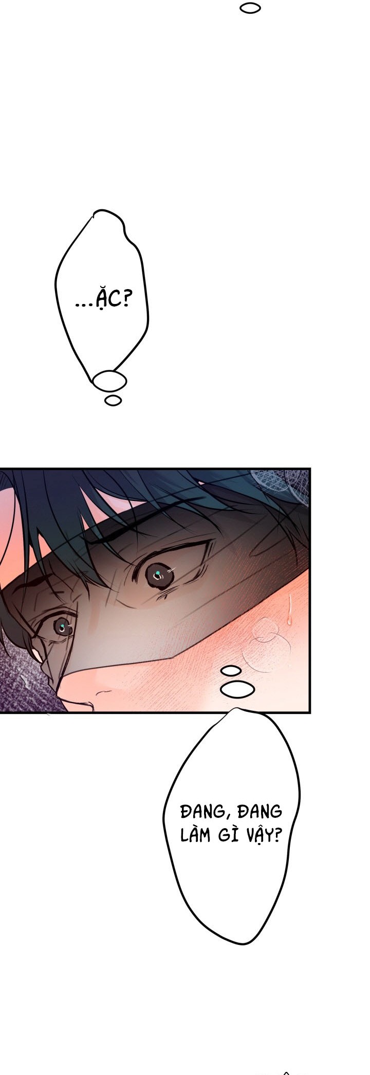 TUYẾN TIỀN LIỆT Chapter 22 - Trang 2