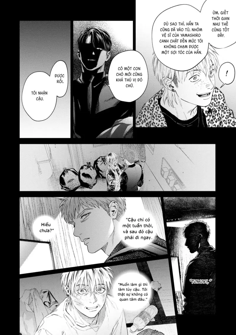 Con sói đội lốt cừu Chapter 14 Hachiennhom - Next 