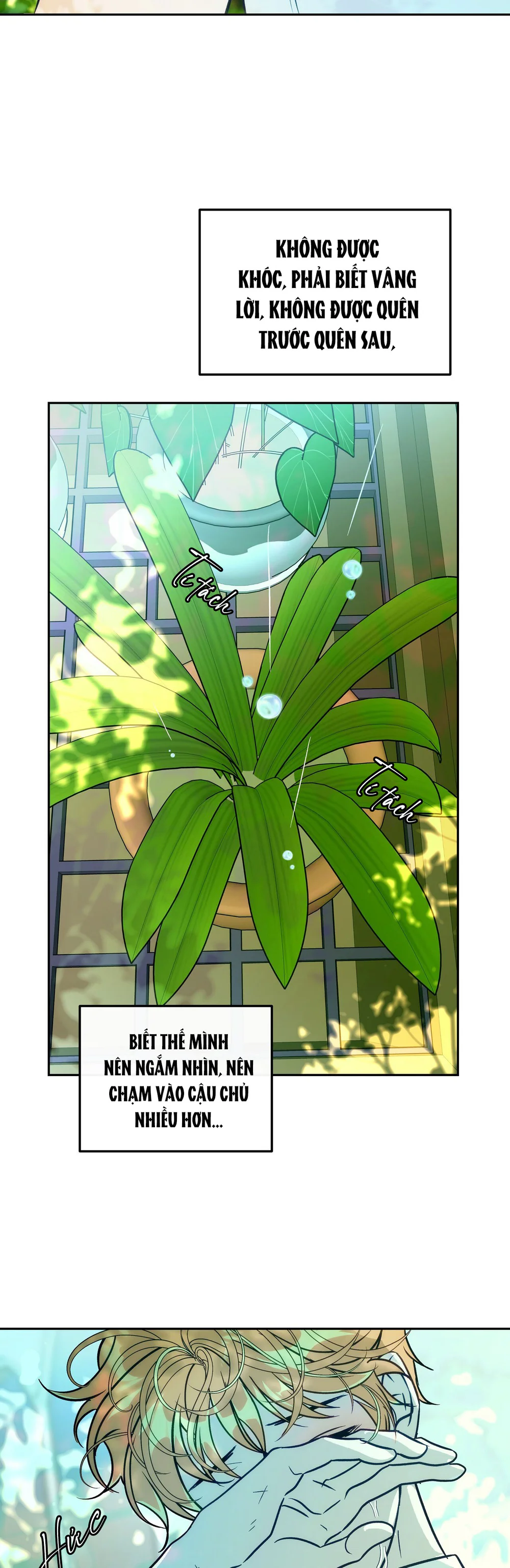 ORCA MANSION Chapter 11 - Trang 2