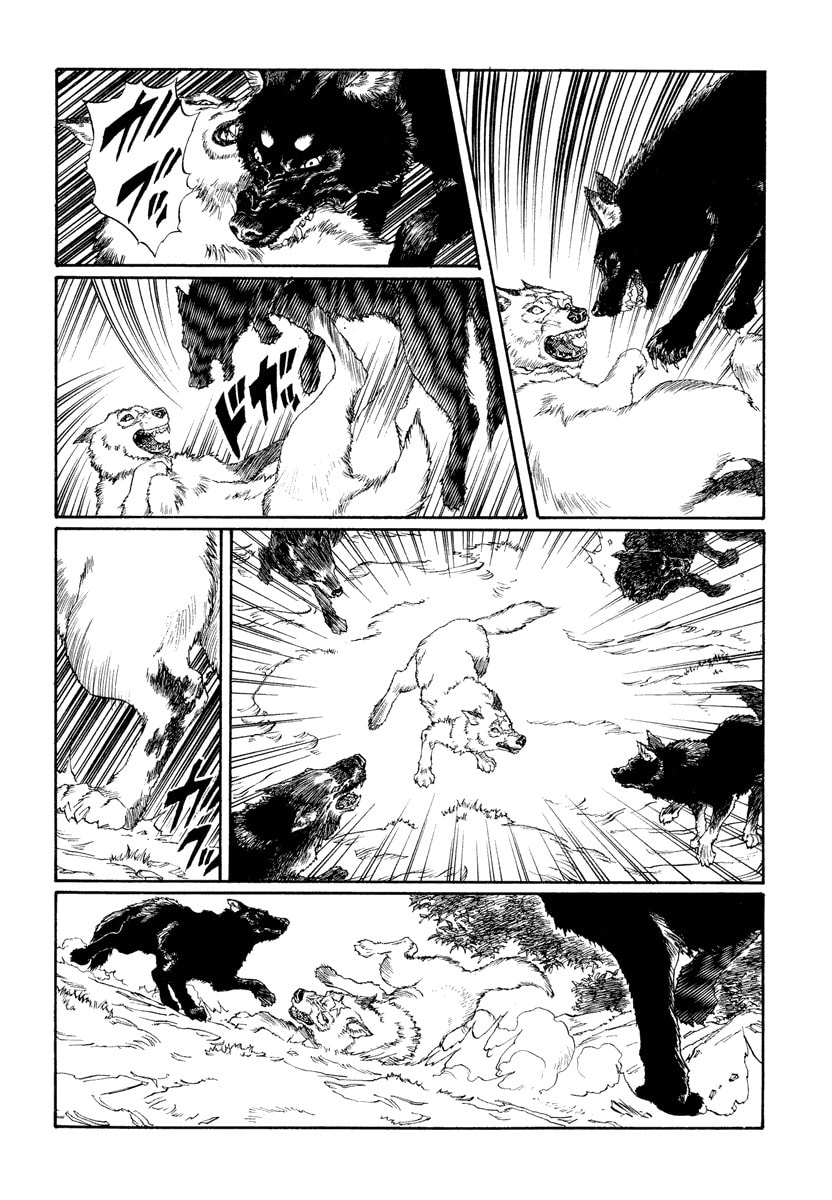 Dũng Sĩ RaiKa Volume 12 - Trang 2