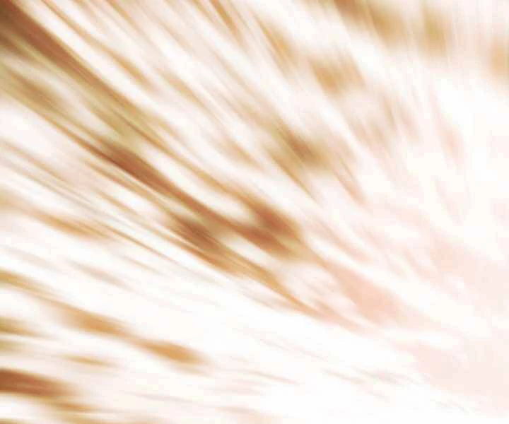 Bất Bại Chân Ma Chapter 133 - Trang 4